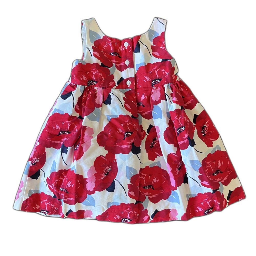 Janie and Jack Watercolor Poppy Dress 12-18M Red Floral Cotton